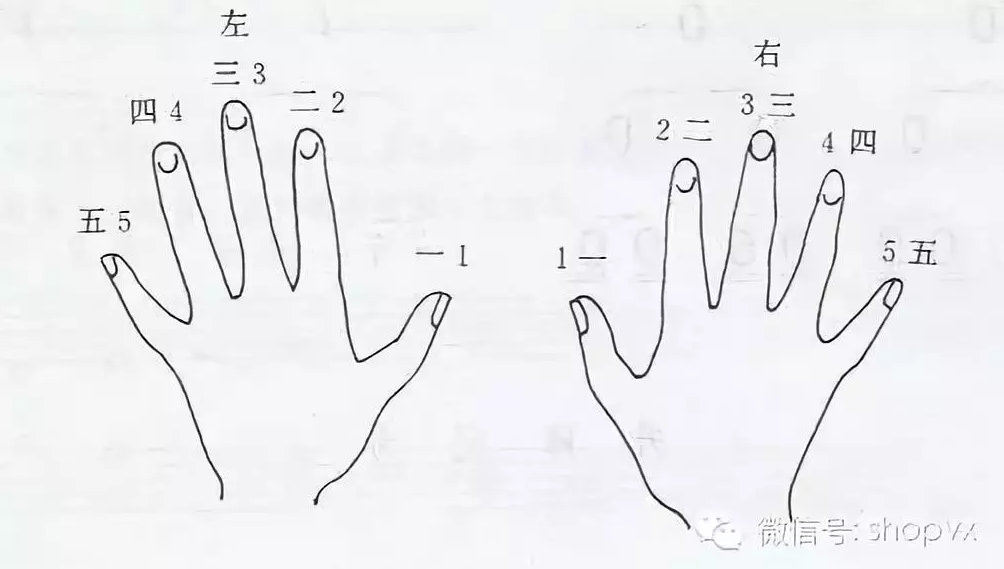 电子琴指法,电子琴左手指法,电子琴指法入门,电子琴指法图,电 . 电子琴左右手入门指法练习图