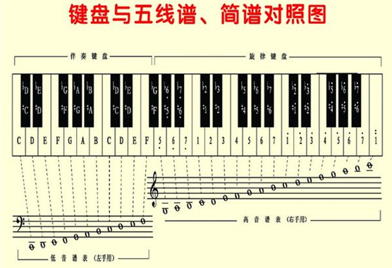 为什么要学五线谱,会简谱还用学五线谱吗,会简谱有必要学五线谱 . 已经学了简谱，为什么还要学习五线谱？