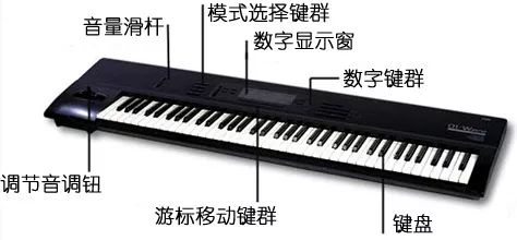 电子琴,初学者,需要,知道,的,小,技巧,电子琴,其,实是, . 电子琴初学者需要知道的小技巧