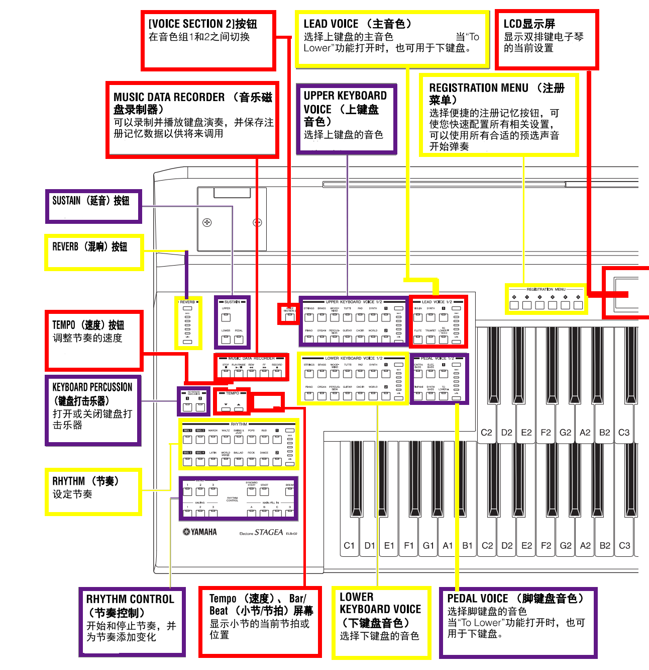 【,双排,键小,学堂,】,一,、,认识,键,电子琴,双排,键 . 【双排键小学堂】一、认识双排键电子琴