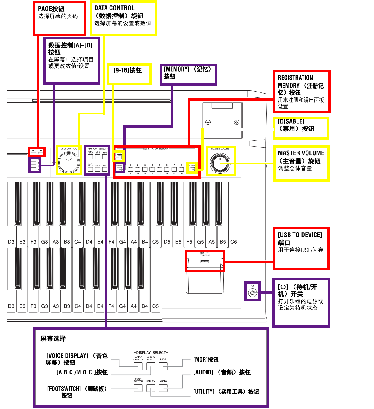 双排键小学堂一认识双排键电子琴