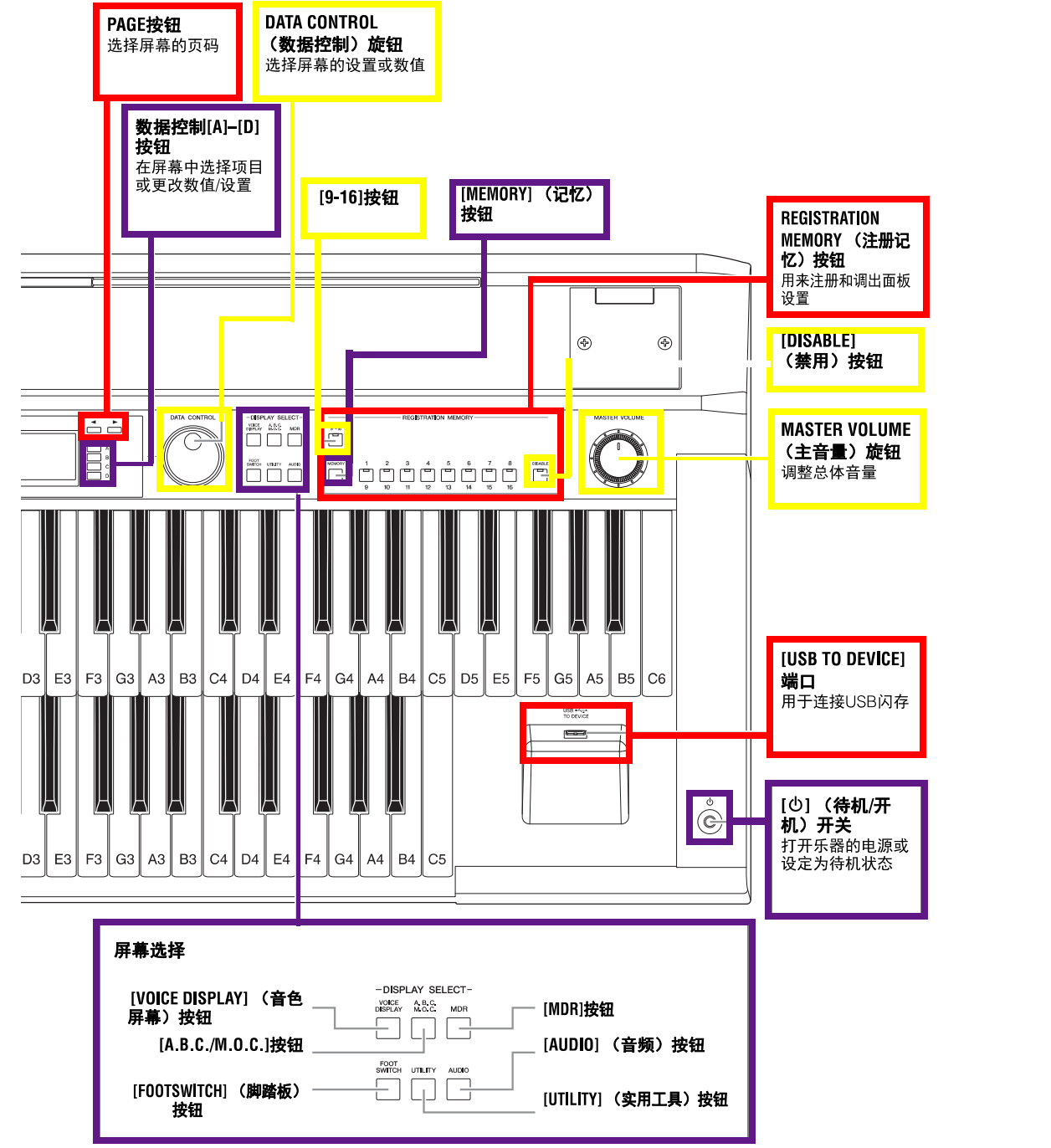 【,双排,键小,学堂,】,一,、,认识,键,电子琴,双排,键 . 【双排键小学堂】一、认识双排键电子琴