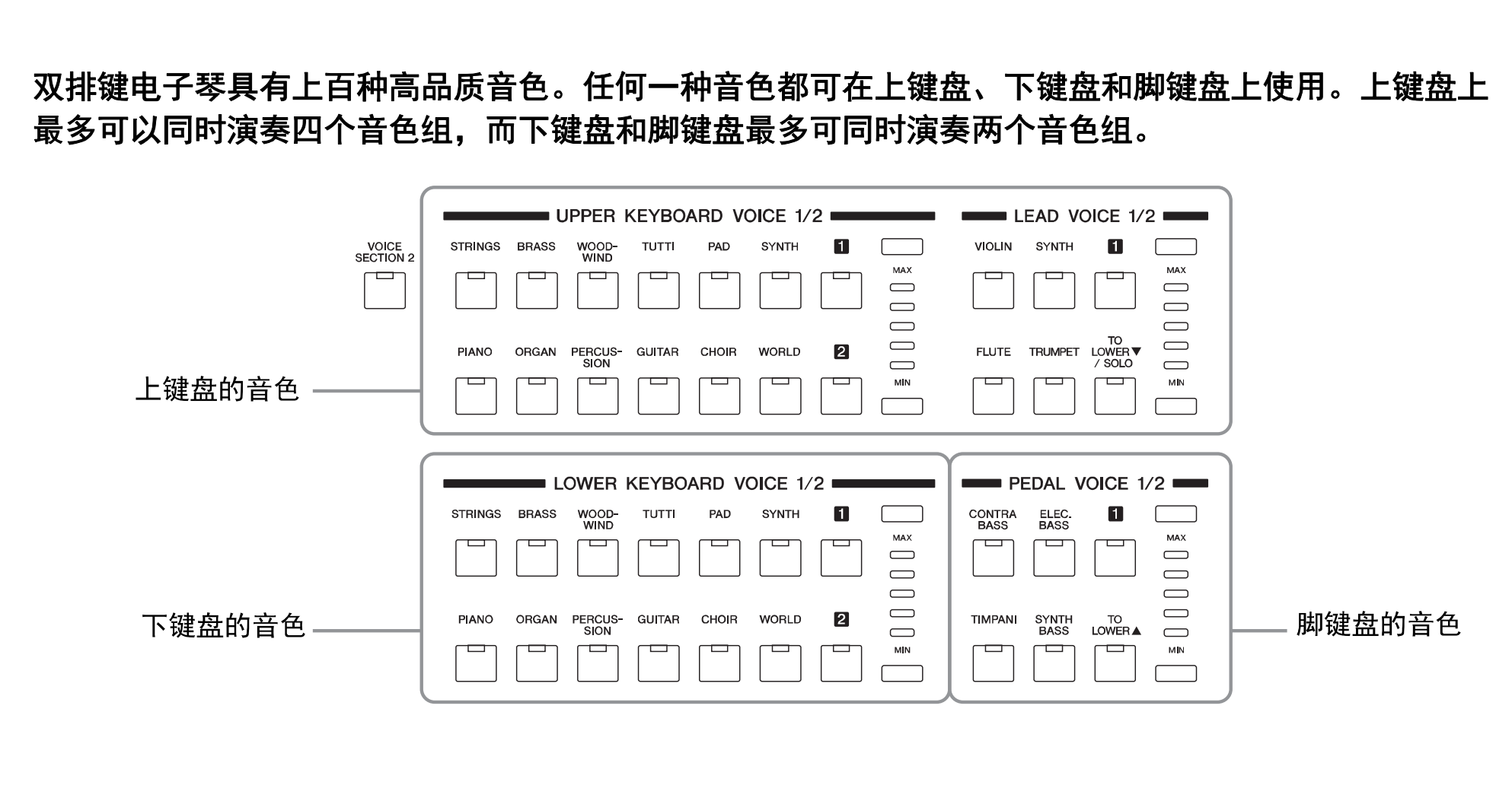 【,双排,键小,学堂,】,二,、,键,在,器乐,中的,优势, . 【双排键小学堂】二、双排键在器乐中的优势分析