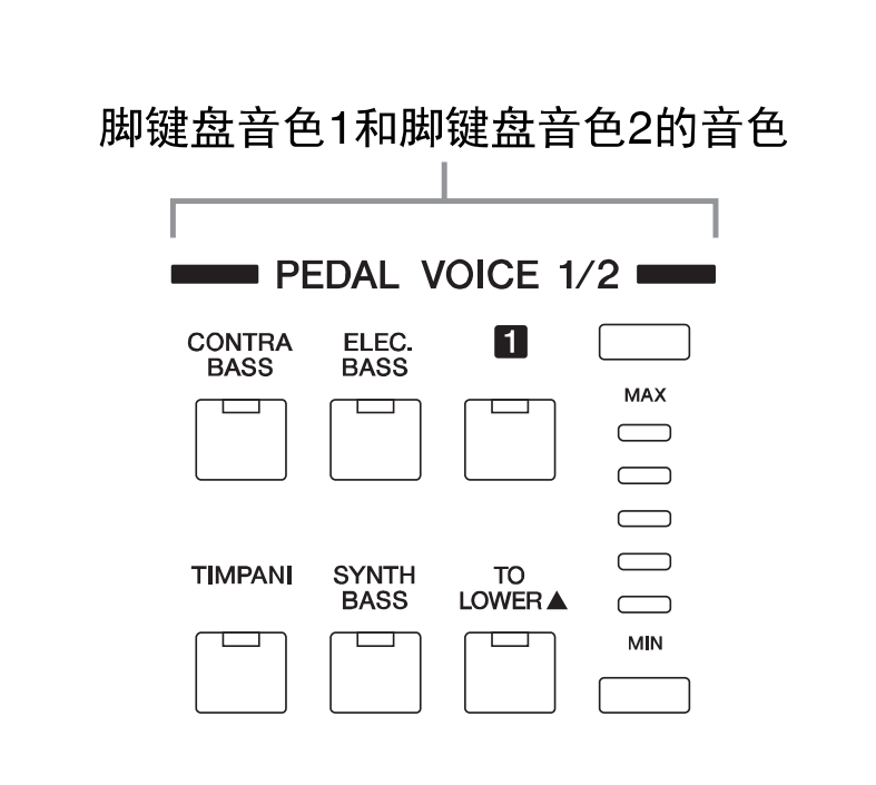 【,双排,键小,学堂,】,二,、,键,在,器乐,中的,优势, . 【双排键小学堂】二、双排键在器乐中的优势分析